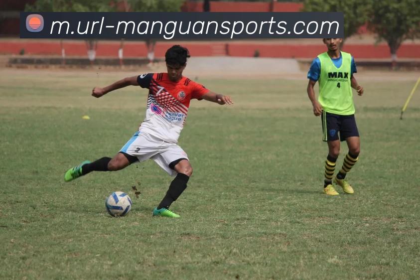 满贯体育平台生态图