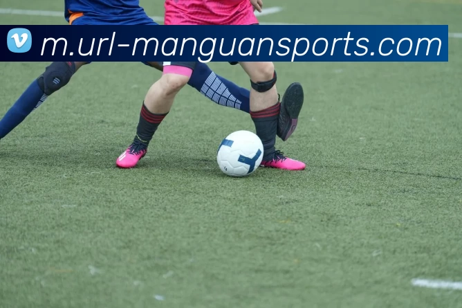 满贯体育APP 封面图